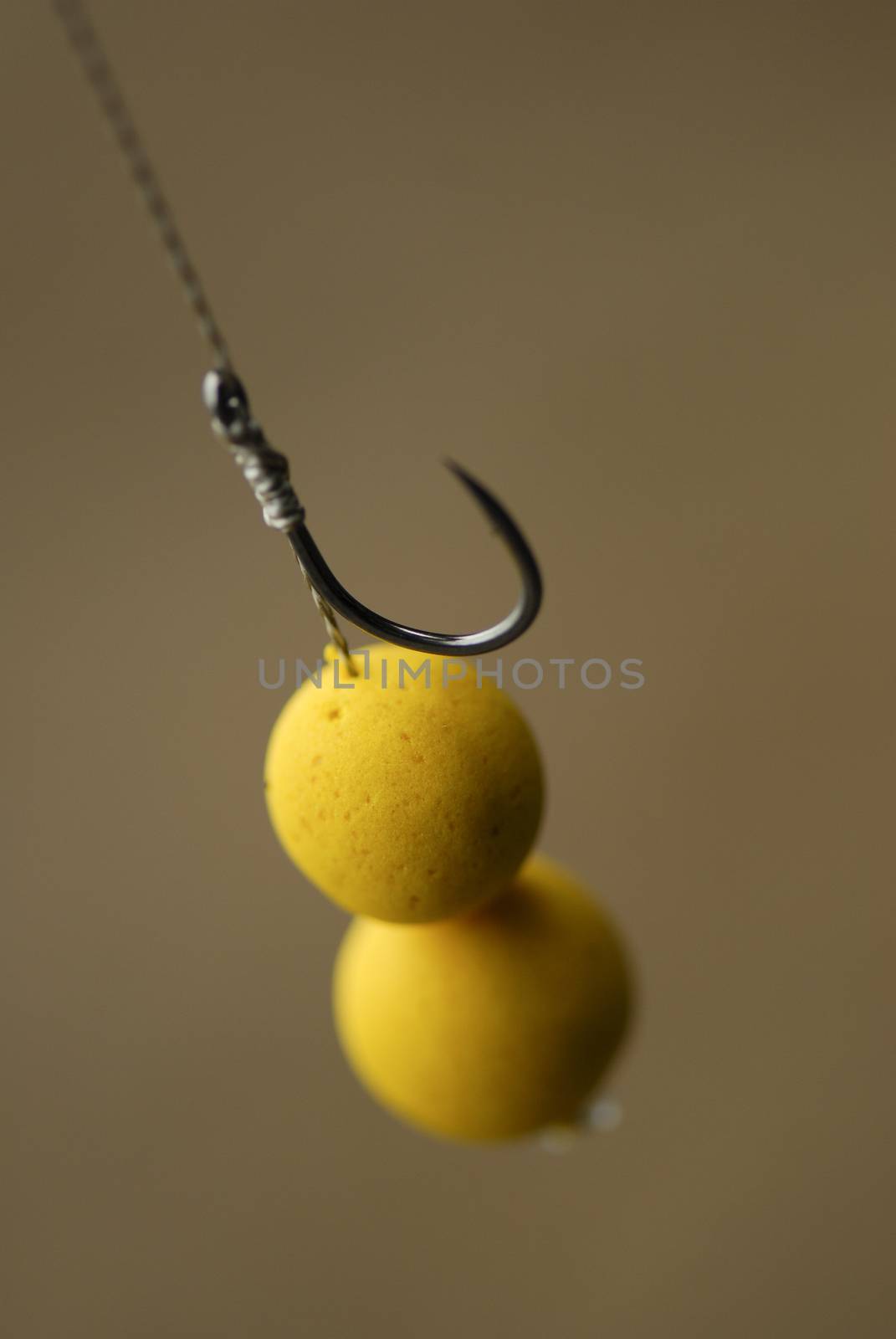 Fishing rig pop up in bait outdoor