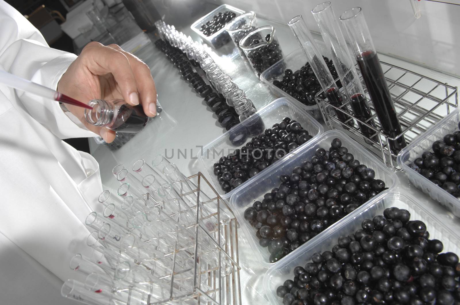 Wine quality control testing in modern laboratory, France