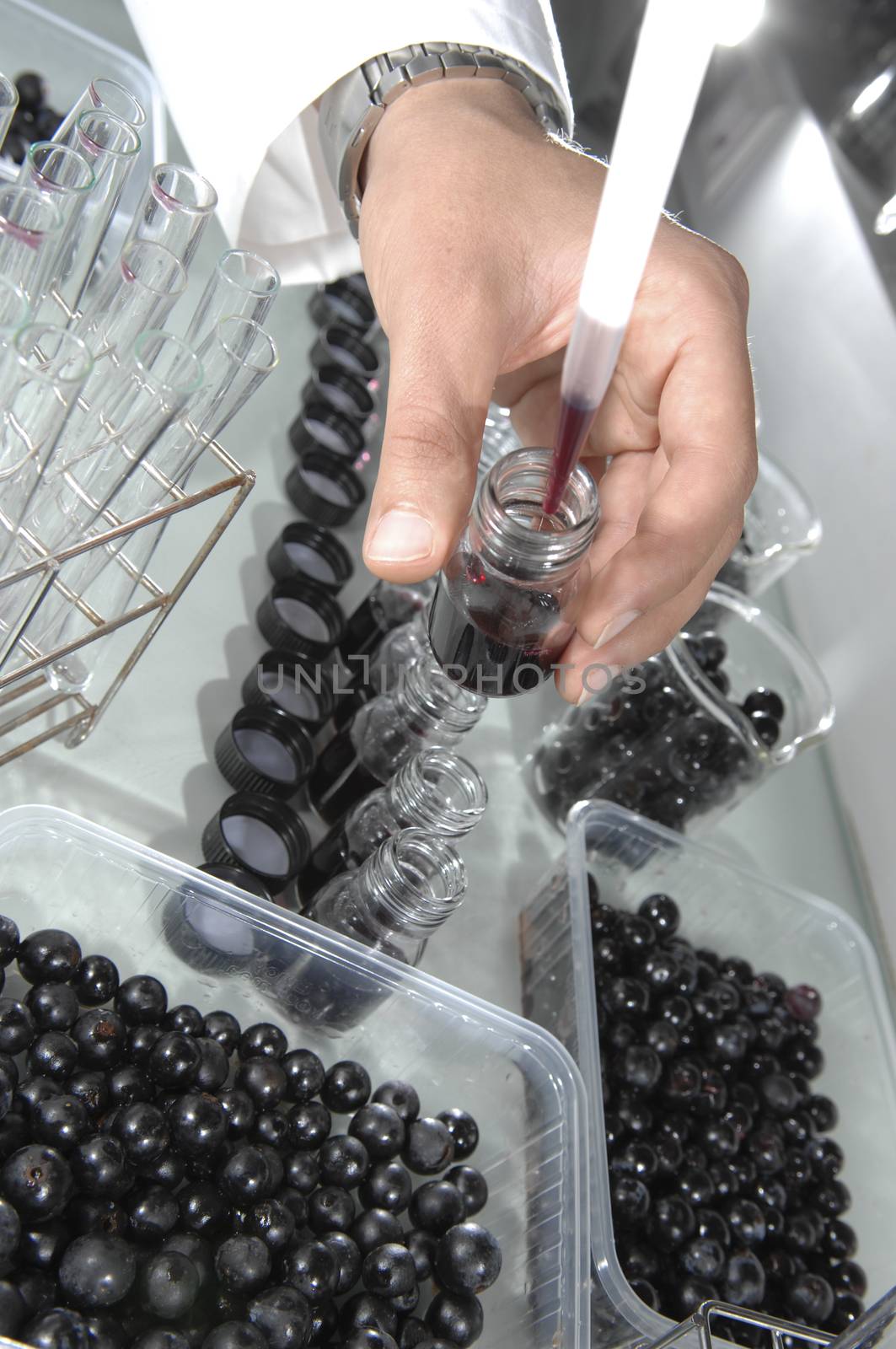 Wine quality control testing in modern laboratory, France