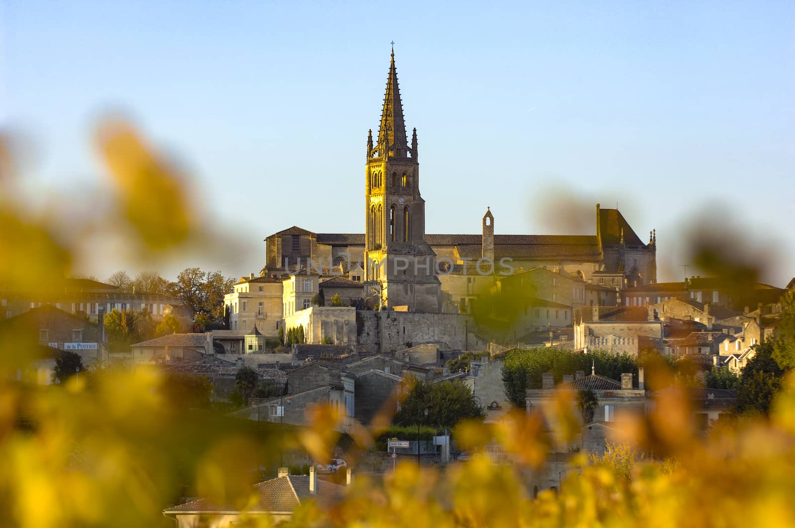 Saint Emilion, Vineyard Sunrise, Bordeaux Wine, France, Europe
