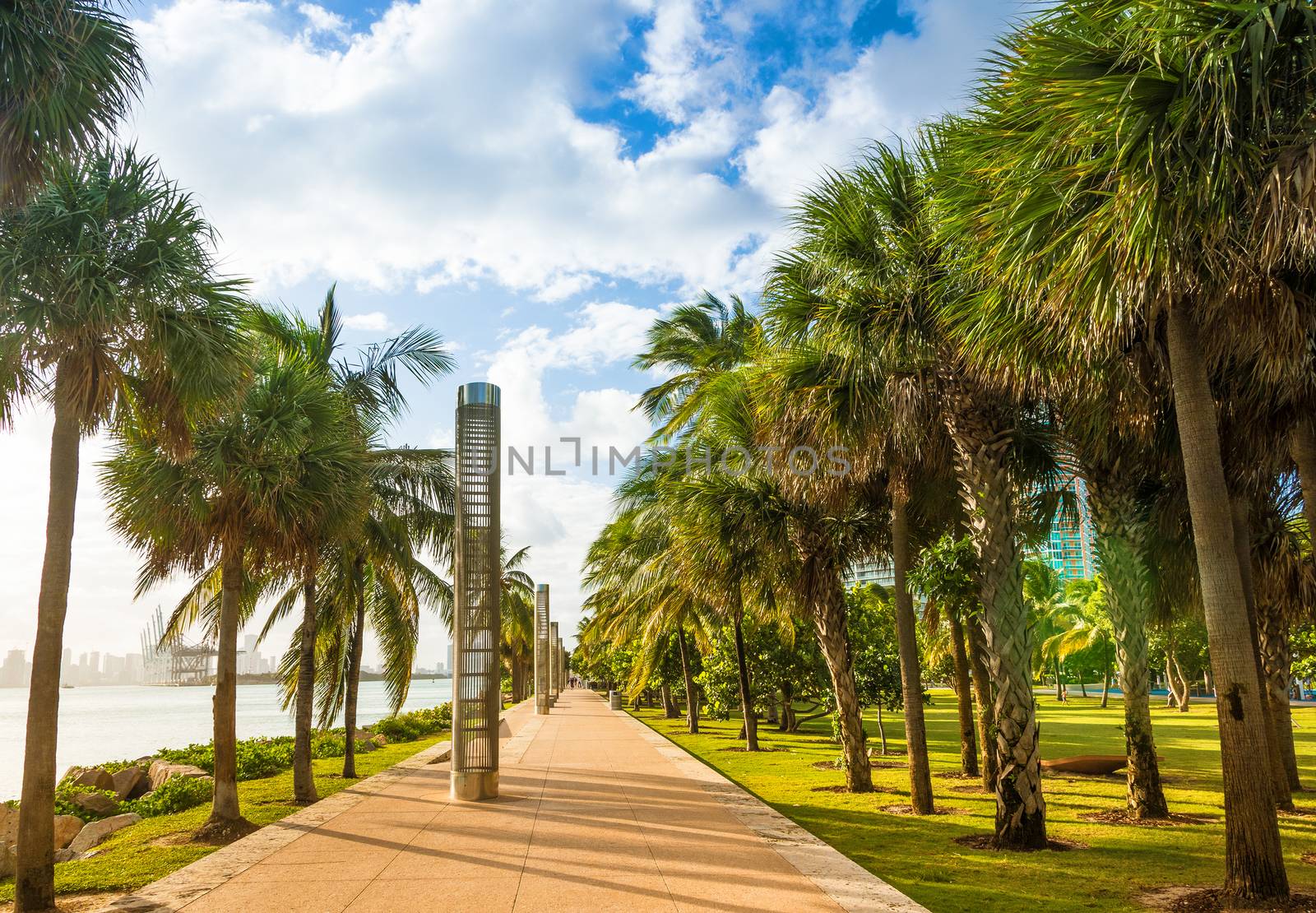Promenade at South Pointe Park in South Beach, Miami Beach, Florida, USA.