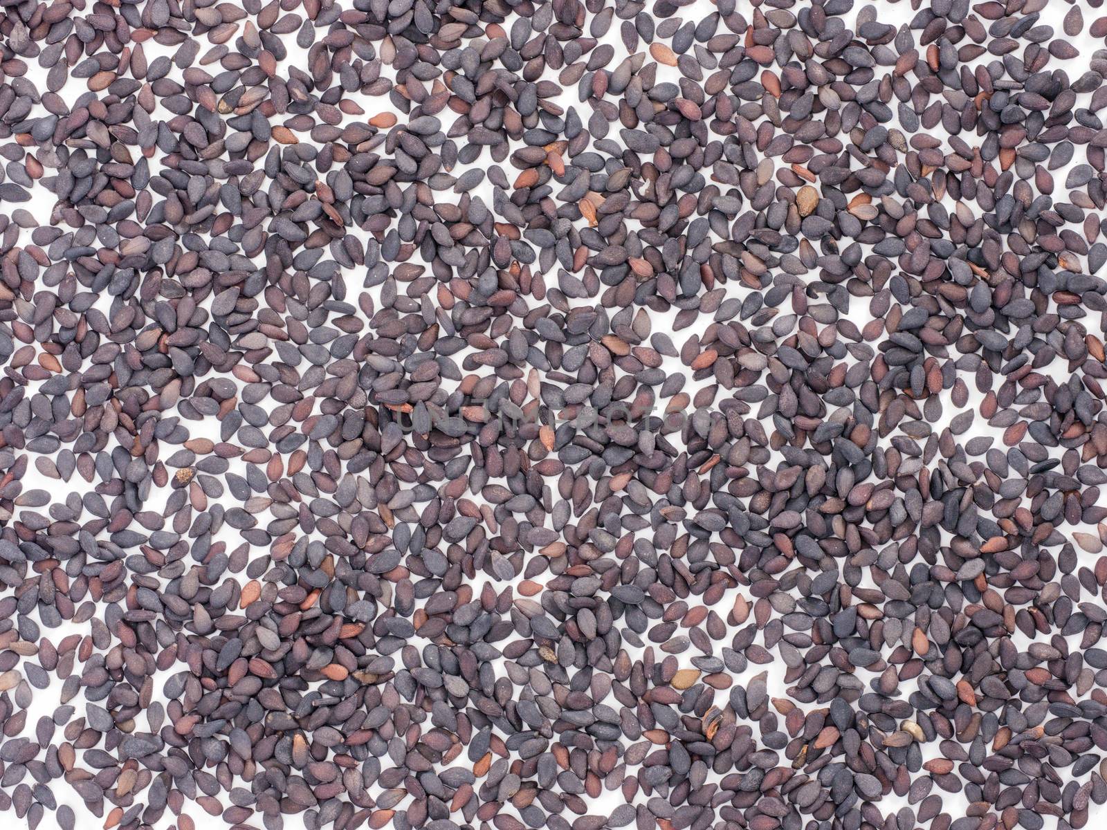 Black sesame as background. Top view or flat lay