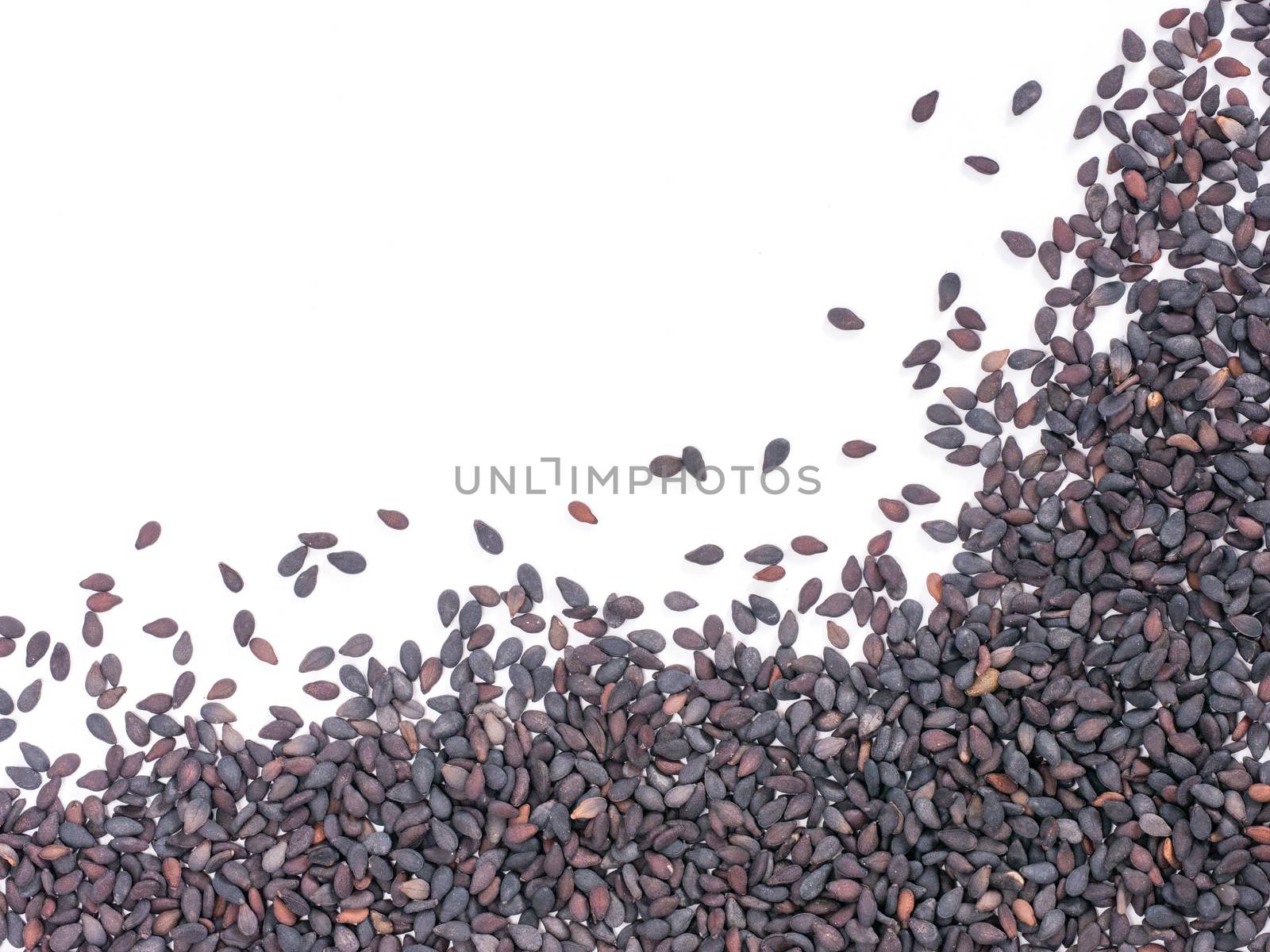 Black sesame on white background with copy space. Isolated one edge. Top view or flat lay.