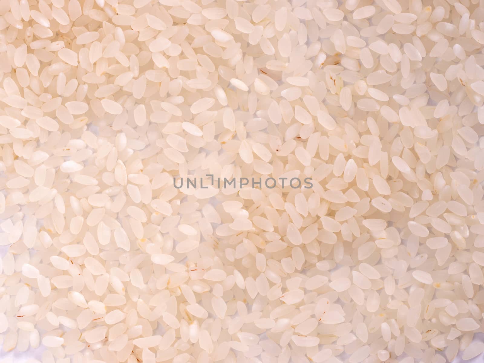 rice texture as background. Flat lay or top view