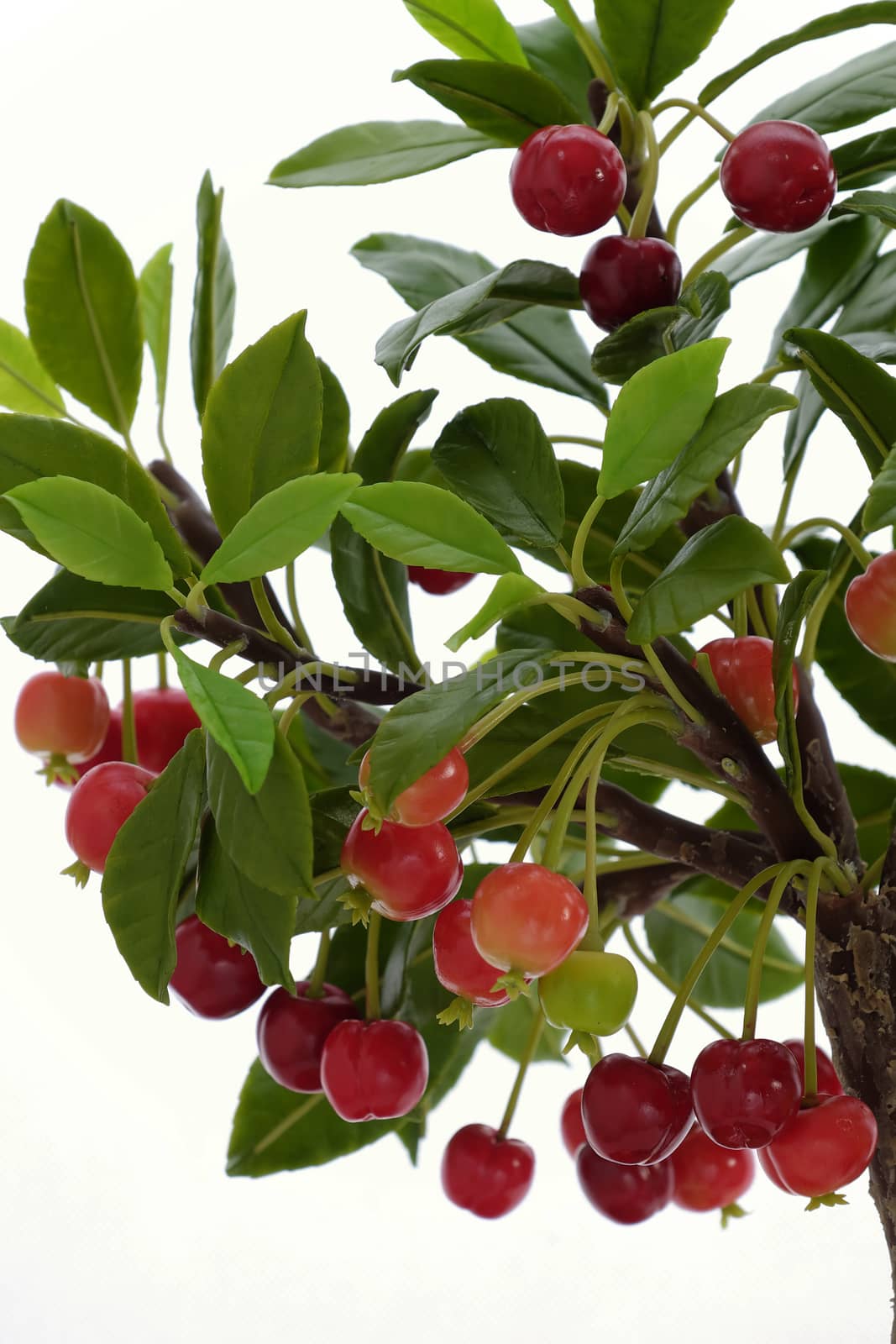 Cherry tree from clay, handmade bonsai by xuanhuongho