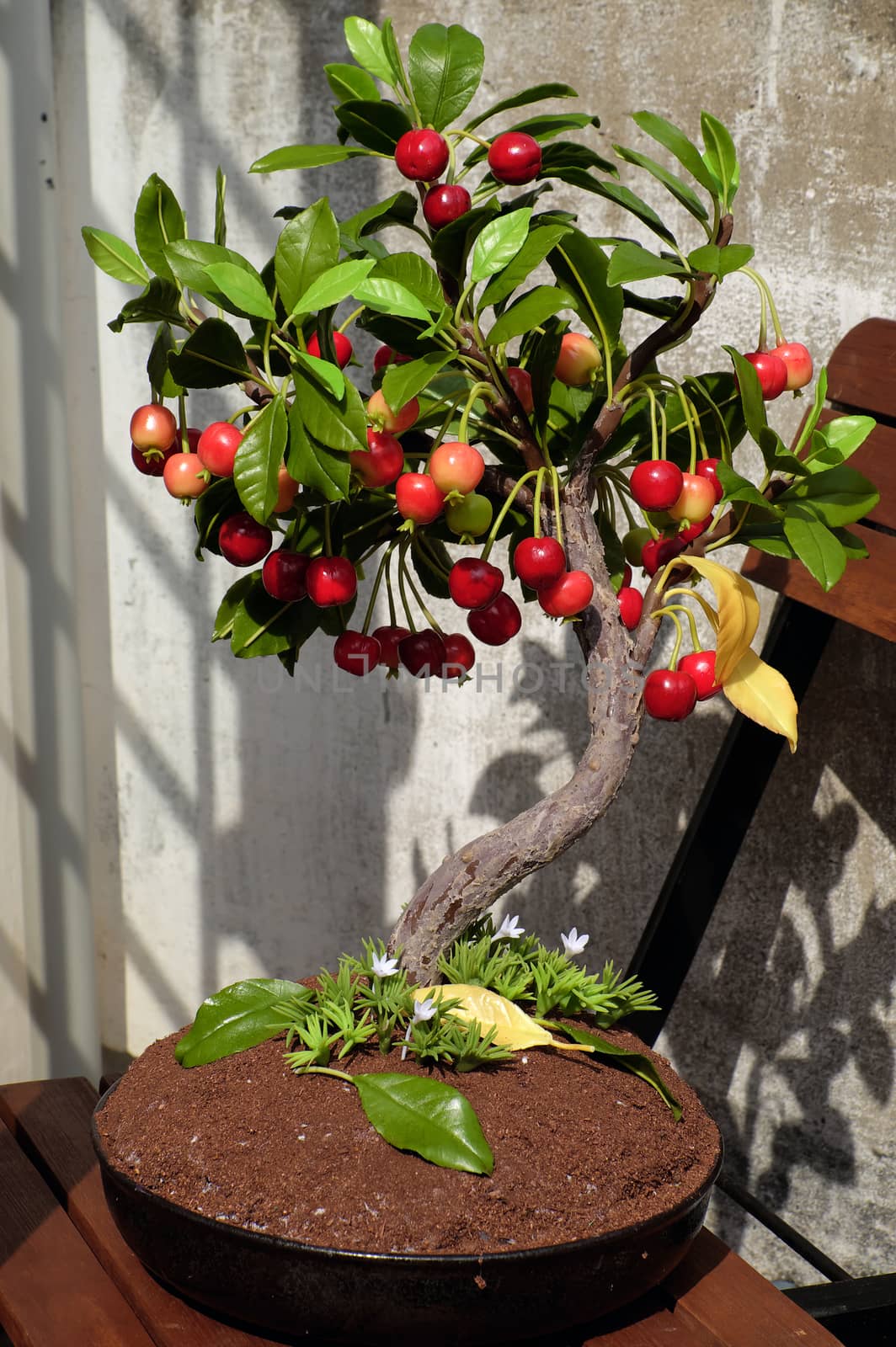 Cherry tree from clay, handmade bonsai by xuanhuongho