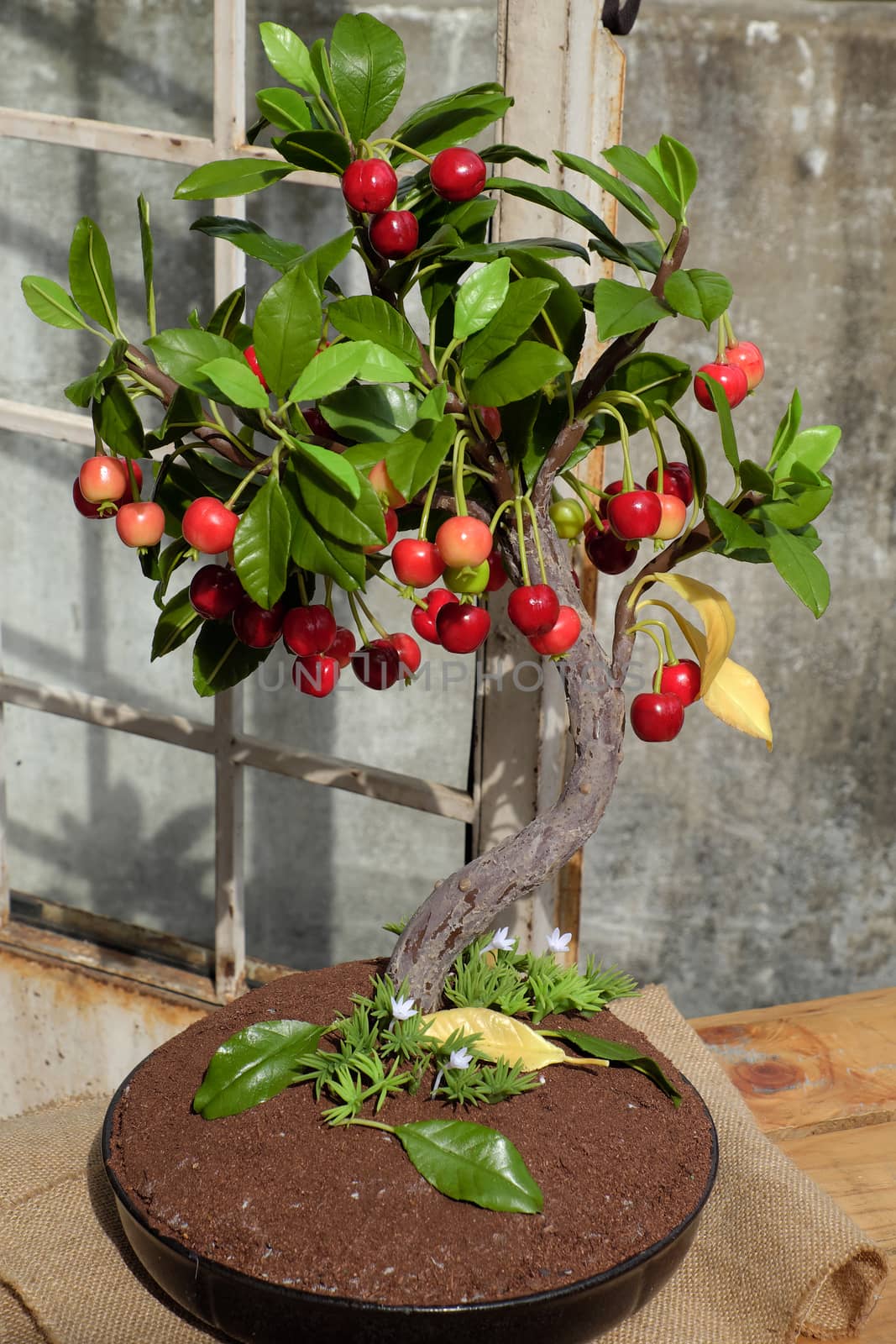 Cherry tree with red ripe fruit make from clay, handmade bonsai tree for home decoration in Vietnam, beautiful artwork for springtime