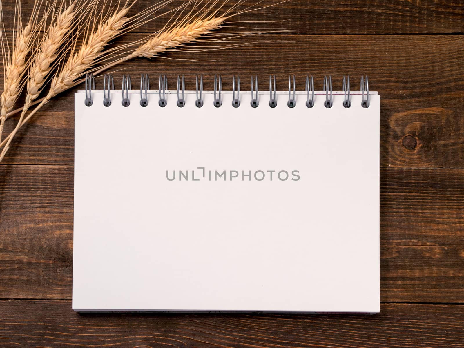 Top view of blank note paper with wheat stalks on dark brown wood table for background