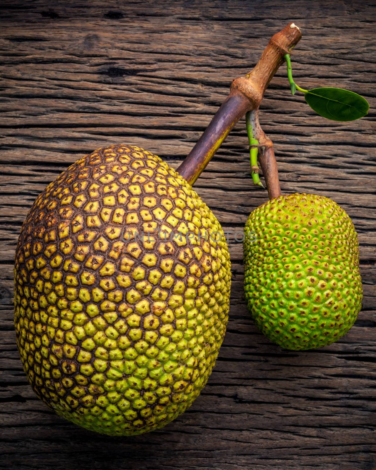 Sweet Jack fruit on shabby wooden background .Tropical fruit  sweet and aromatic flesh of a ripe jack fruit ('Artocarpus heterophyllus') tempts buyers at a tropical fruit stall in Koh Samui ,Thailand.