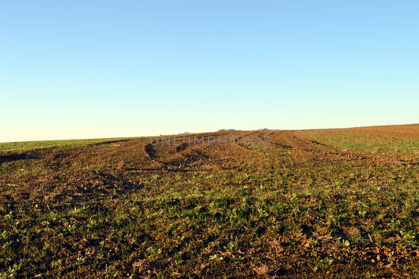 Plow furrow on a field  by Philou1000