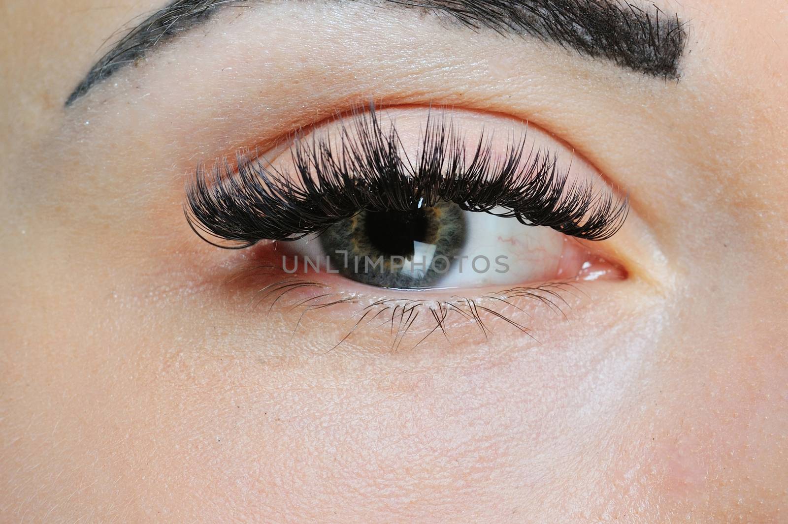 beautiful woman's eyes and eyelashes. makeup close-up.