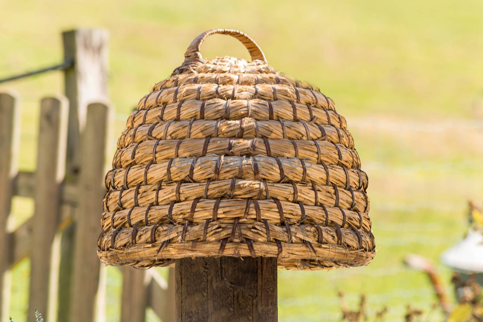 Age beehive, beehives of straw called basket Beekeeping is an ancient tradition.