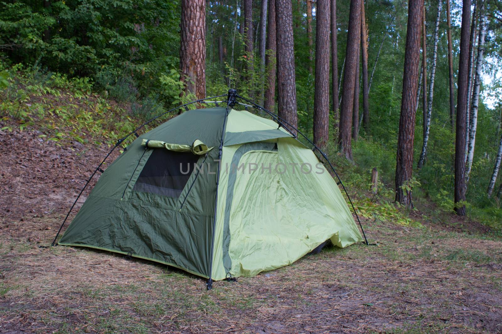 green tent in the summer forest, nature