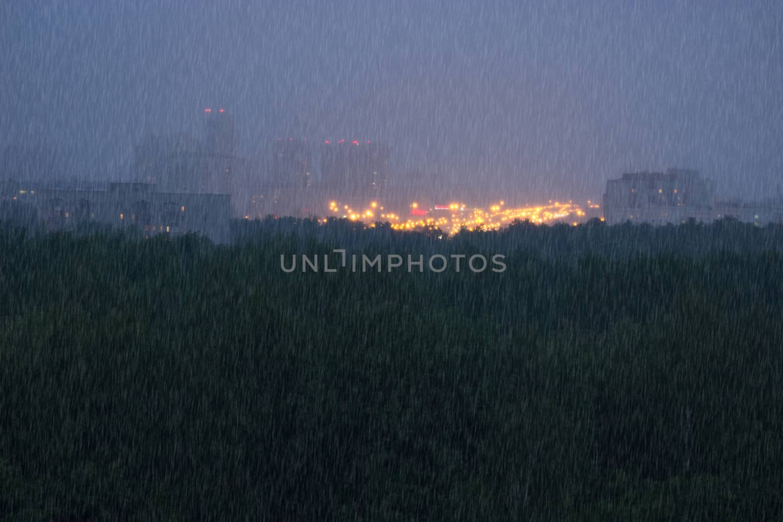 green forest distant city, night yellow lights