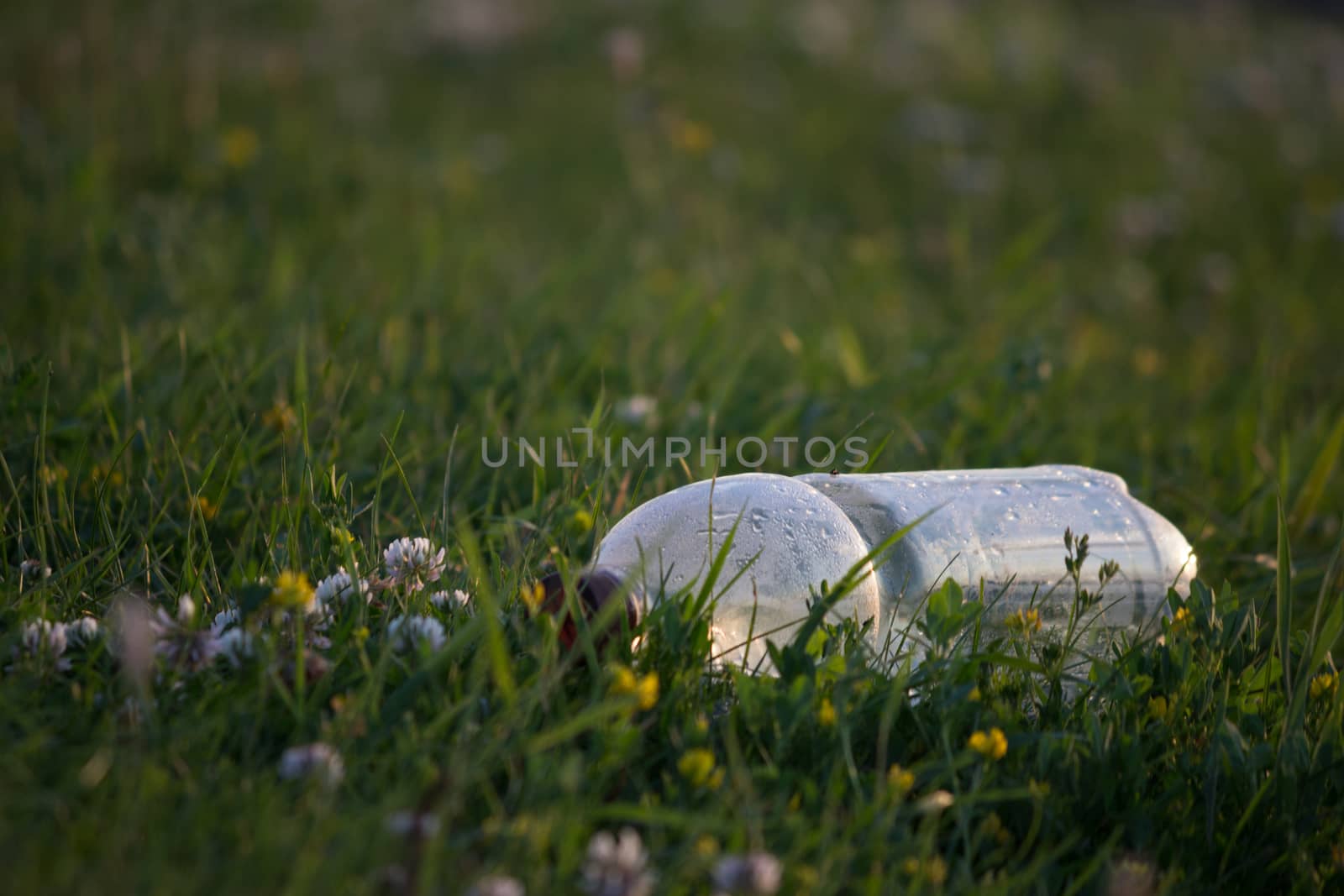 ecology concept, plastic bottle  on the green grass