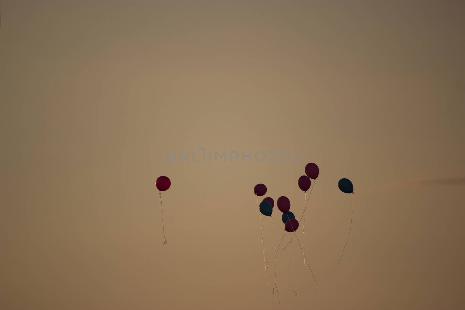 colorful ballons fly high in the sky