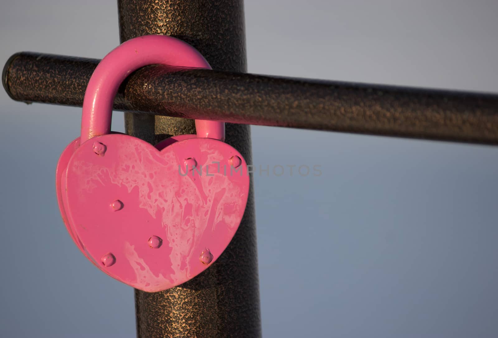 heart shaped padlock hang on the fence