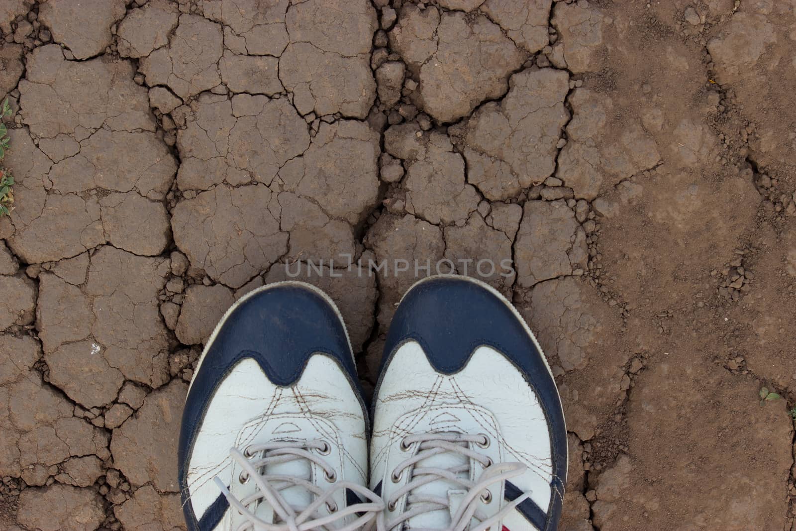 sneakers on dry cracked ground close up