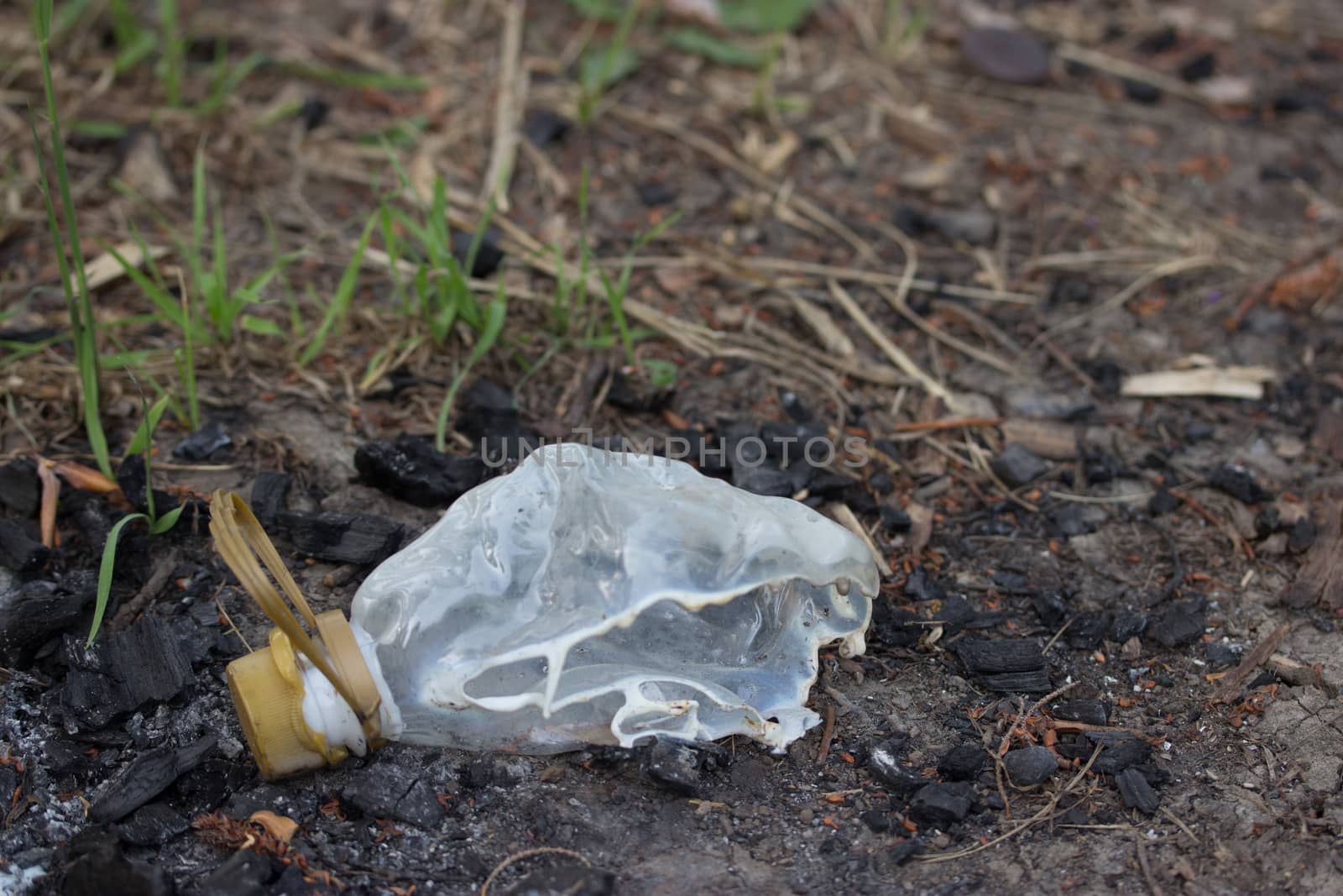 half burned platic bottle in forest, ecology concept