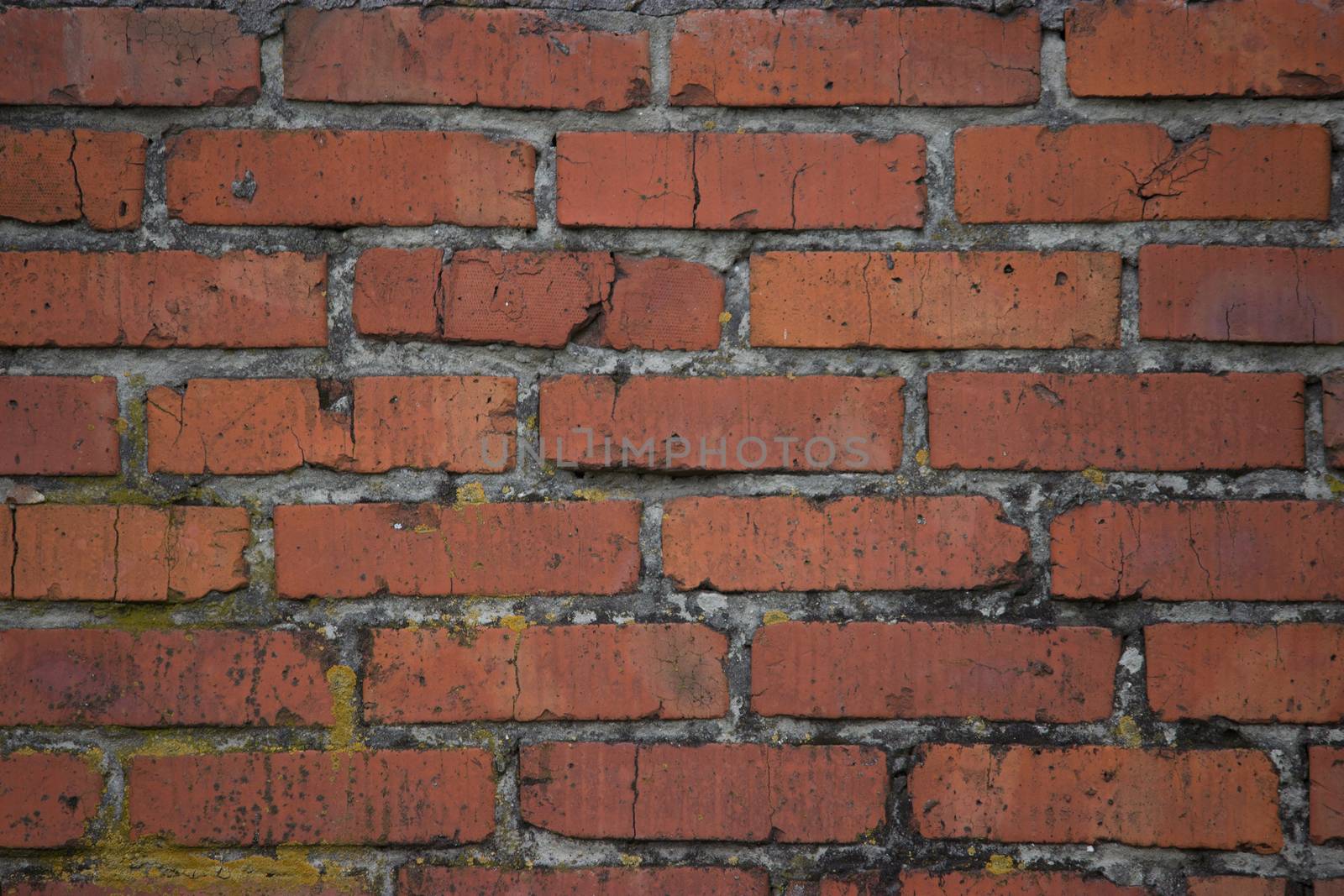 aged red brick wall close up background