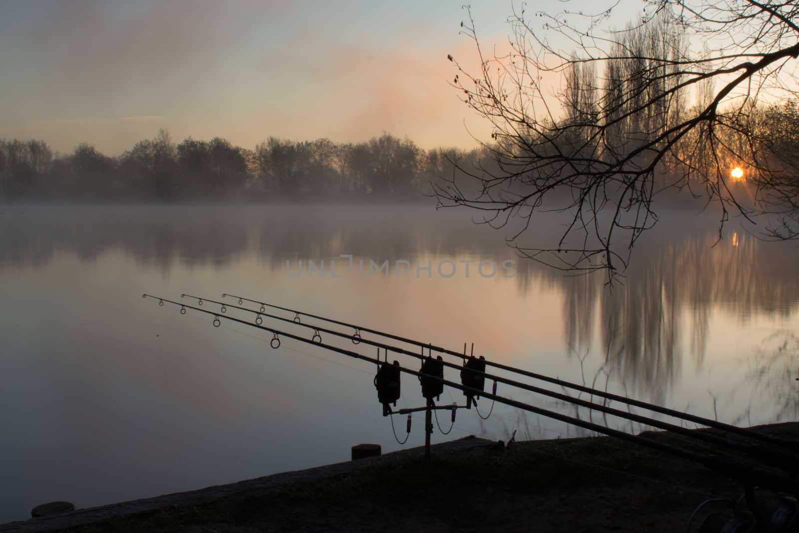 Sunrise over a lake with a silouhette of carp fishing rods