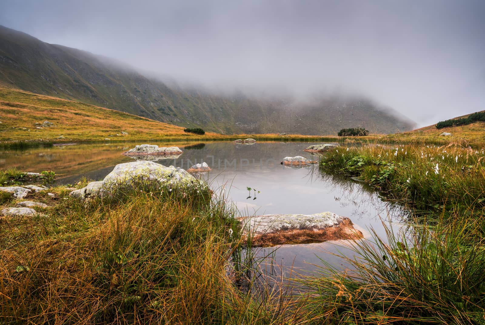 Small Tarn with Rocks in Foggy West Tatra Mountains in the Evening