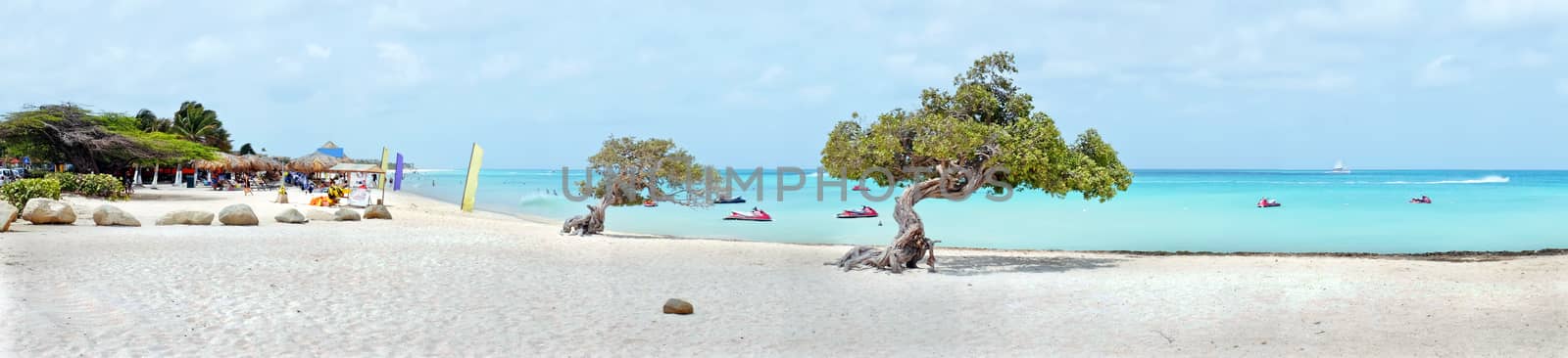 Panorama from eagle beach on Aruba island in the Caribbean sea by devy