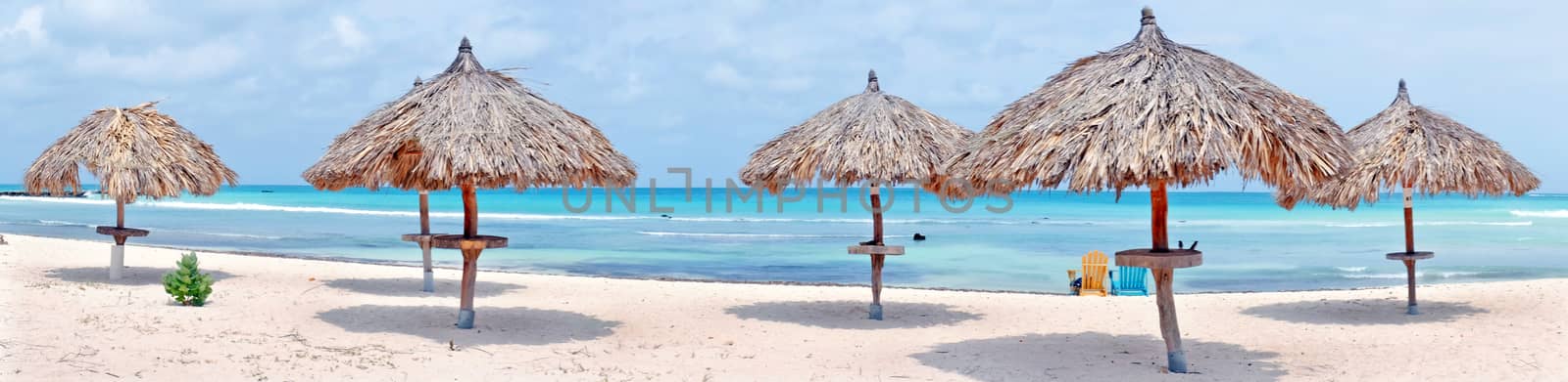 Panorama from grass umbrellas at the beach on Aruba islandImage ID:425268115