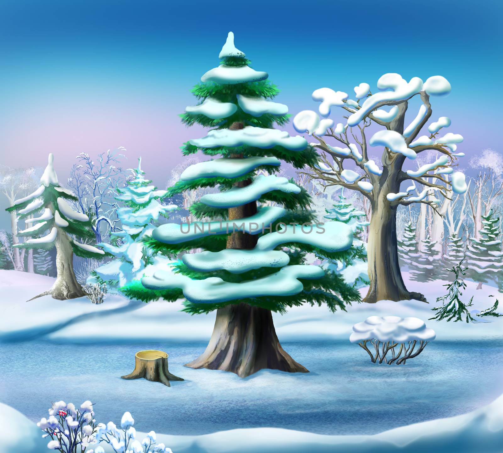 Snow-covered Pine Tree in a Winter Forest. Handmade illustration in a classic cartoon style.