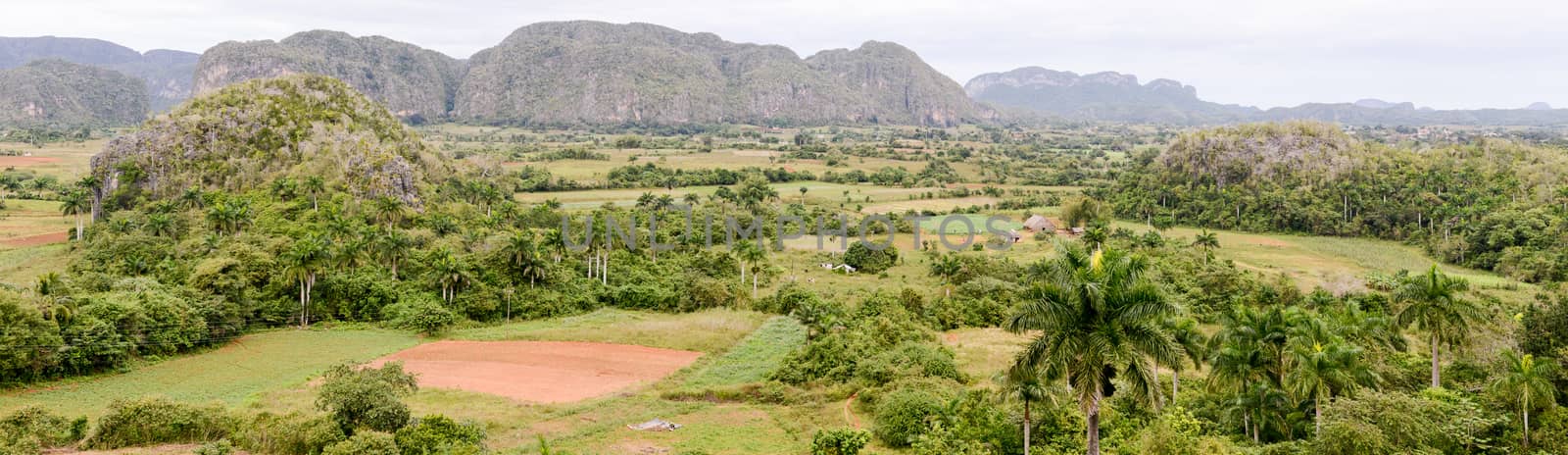 Panoramic view over landscape with mogotes in Vinales Valley, Cuba