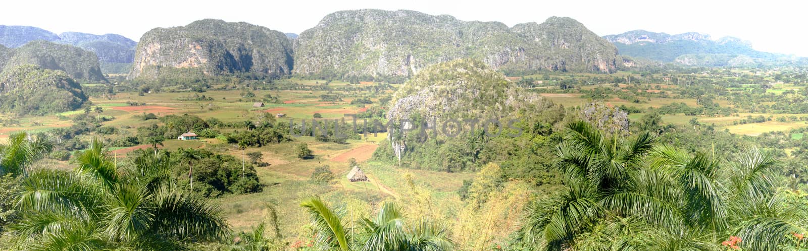 Panoramic view over landscape with mogotes in Vinales Valley by Fotoember