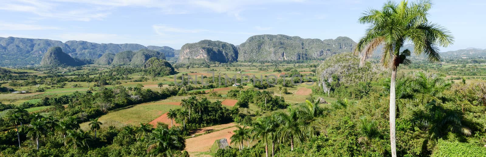 Panoramic view over landscape with mogotes in Vinales Valley by Fotoember
