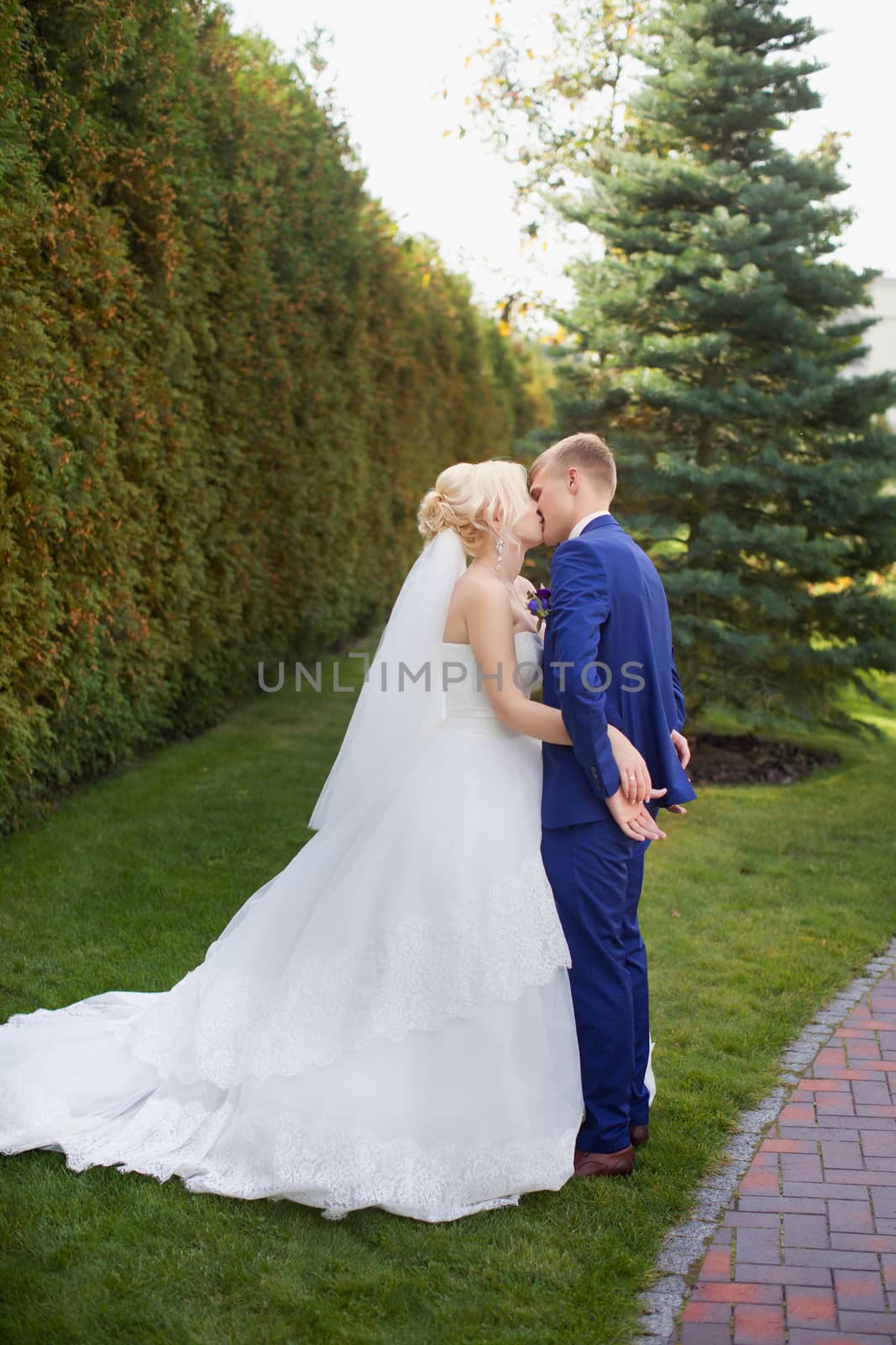 Newlyweds kissing on a green meadow by lanser314