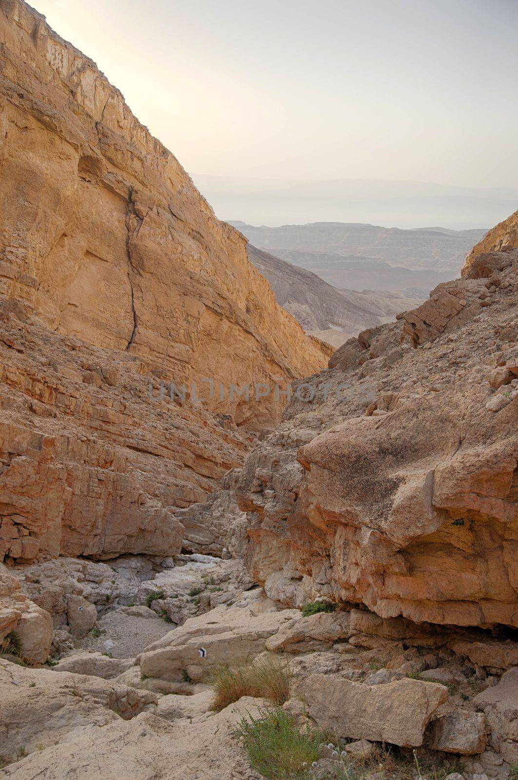 Desert landscape by javax