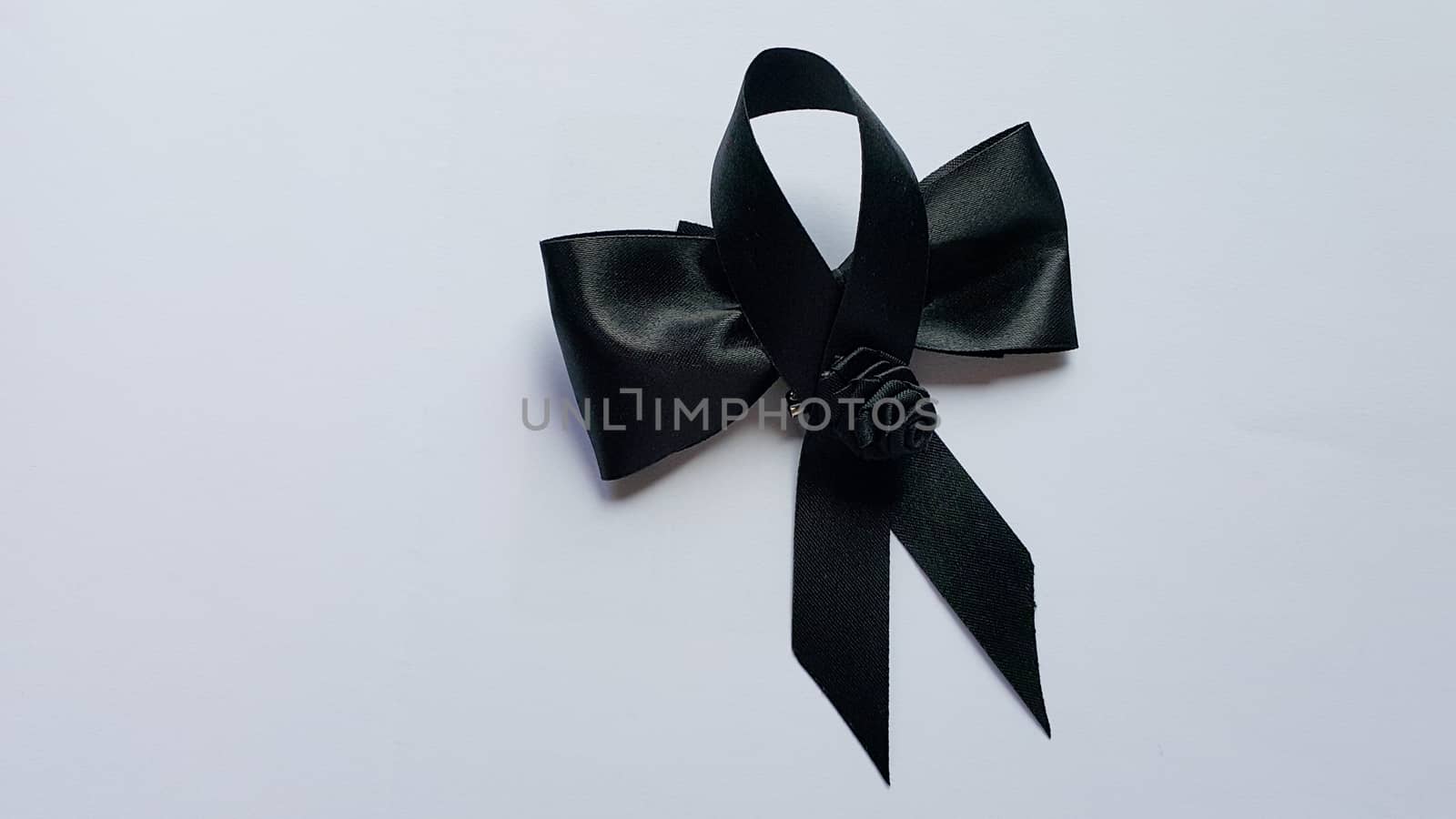 Two black bows on the white floor.