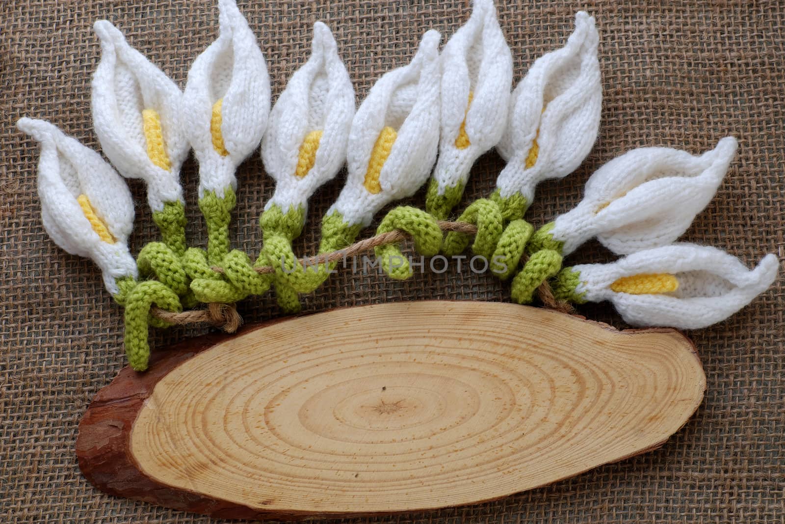 Amazing happy new year background from wood banner with nine of handmade white arum lily knit from yarn, diy home decor to make new year ornament in spring