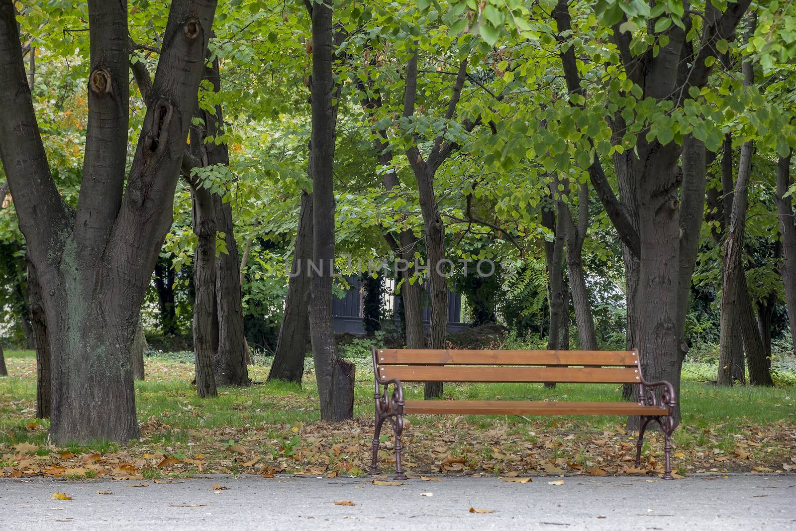 Empty lonely bench in autumn park