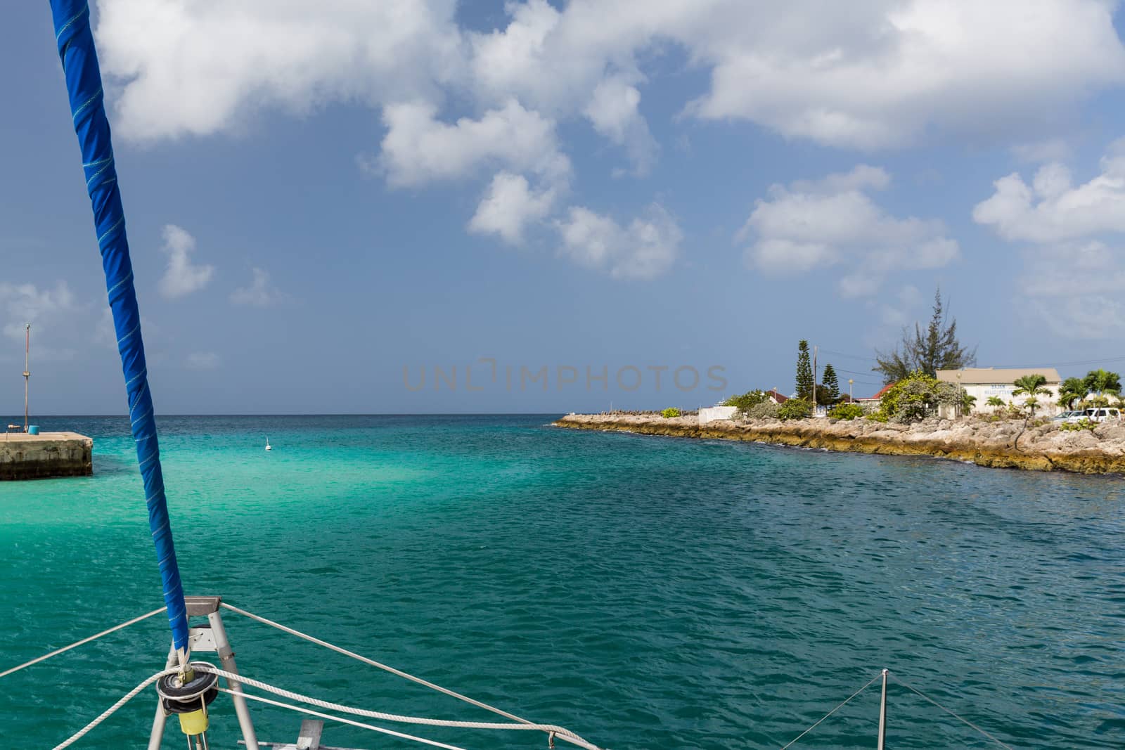 Catamaran cruising at sea in Barbados by chrisukphoto
