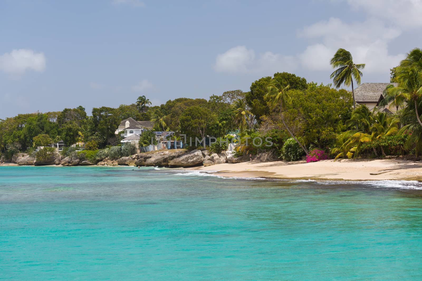 The coastline of Barbados by chrisukphoto