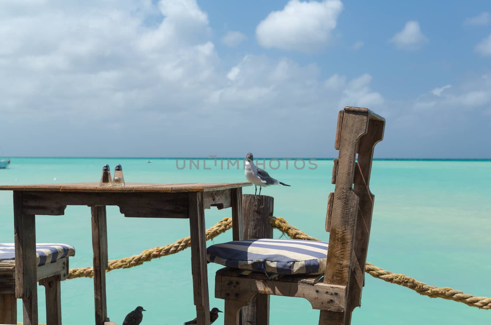 On Pelican Pier, an amazing lookout to the sea and view for a meal in Aruba in the Dutch Antilles.  The birds are ready for a meal
