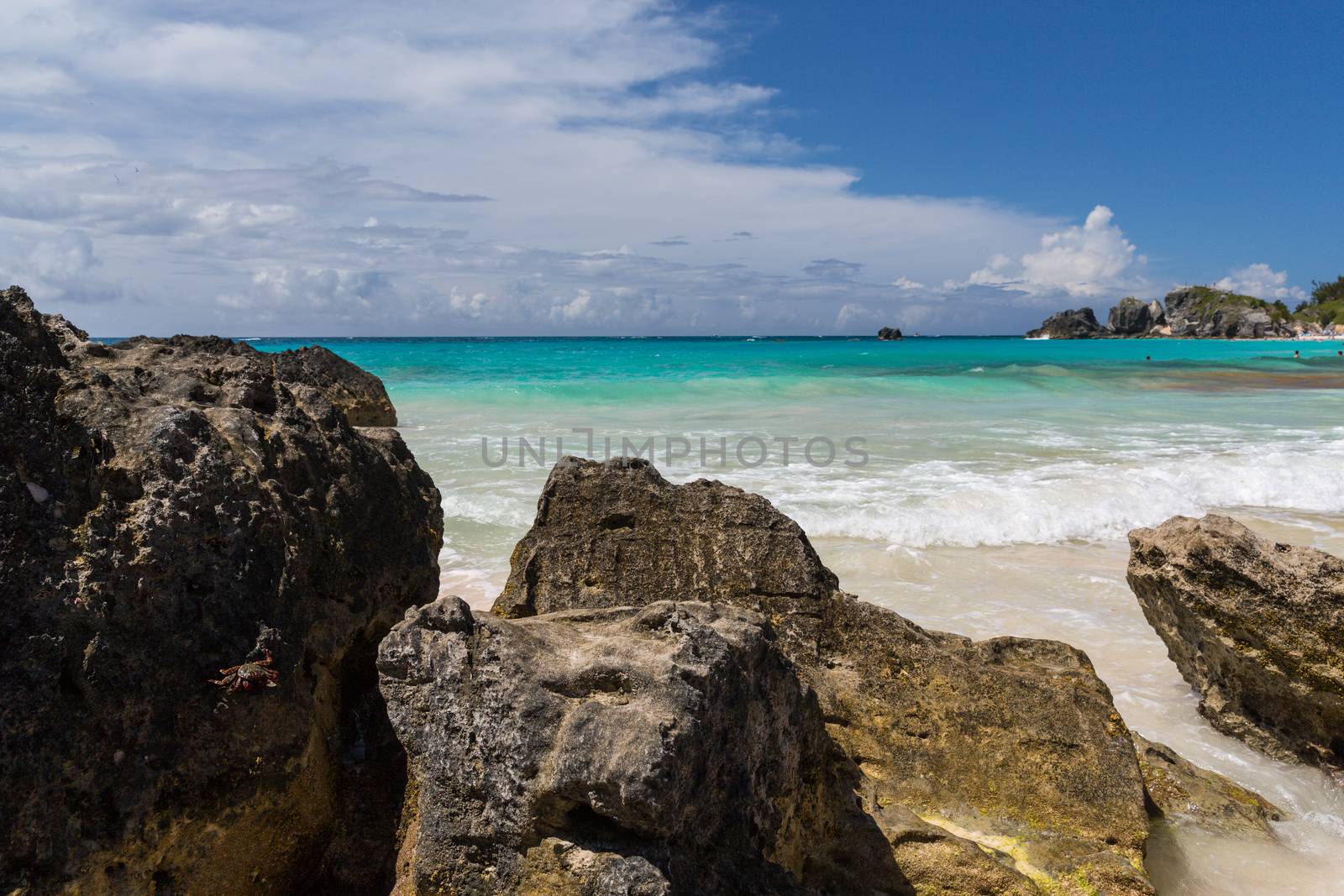 Horseshoe Bay Bermuda by chrisukphoto