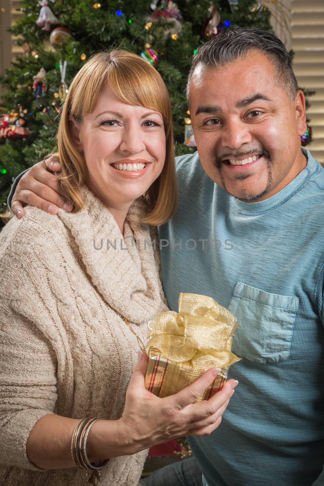 Young Mixed Race Couple with Present Near Christmas Tree by Feverpitched
