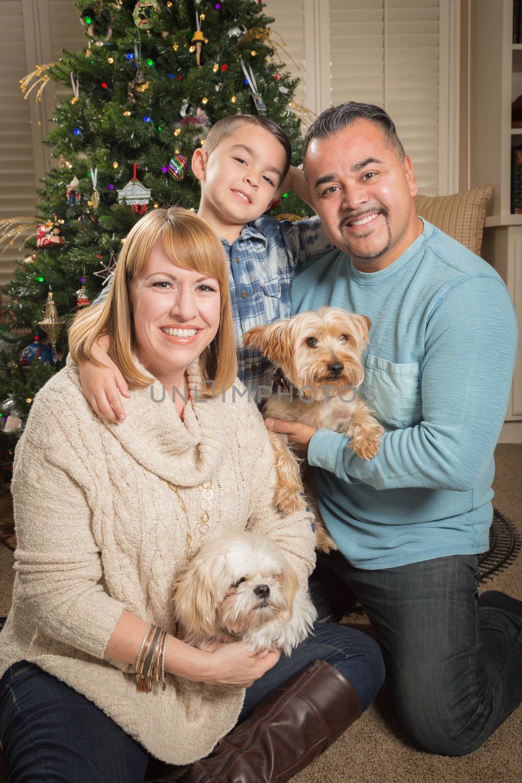 Young Mixed Race Family In Front of Christmas Tree by Feverpitched