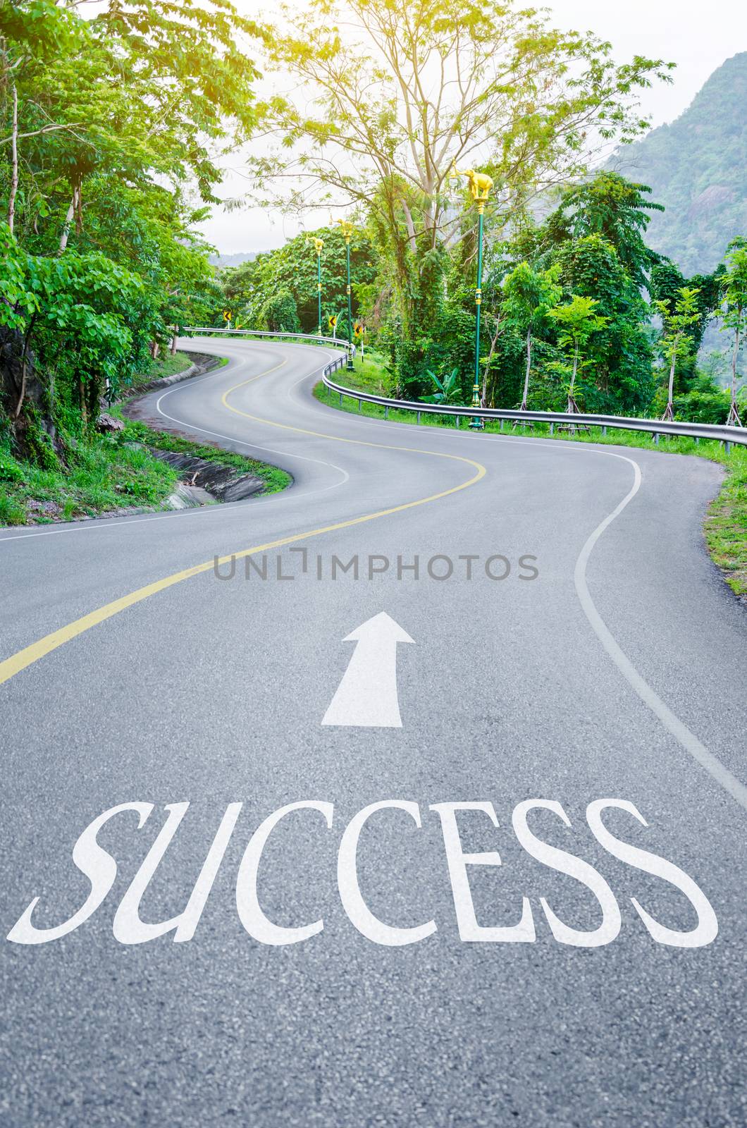 Road that says success in the asphalt on S curve road in the green view.