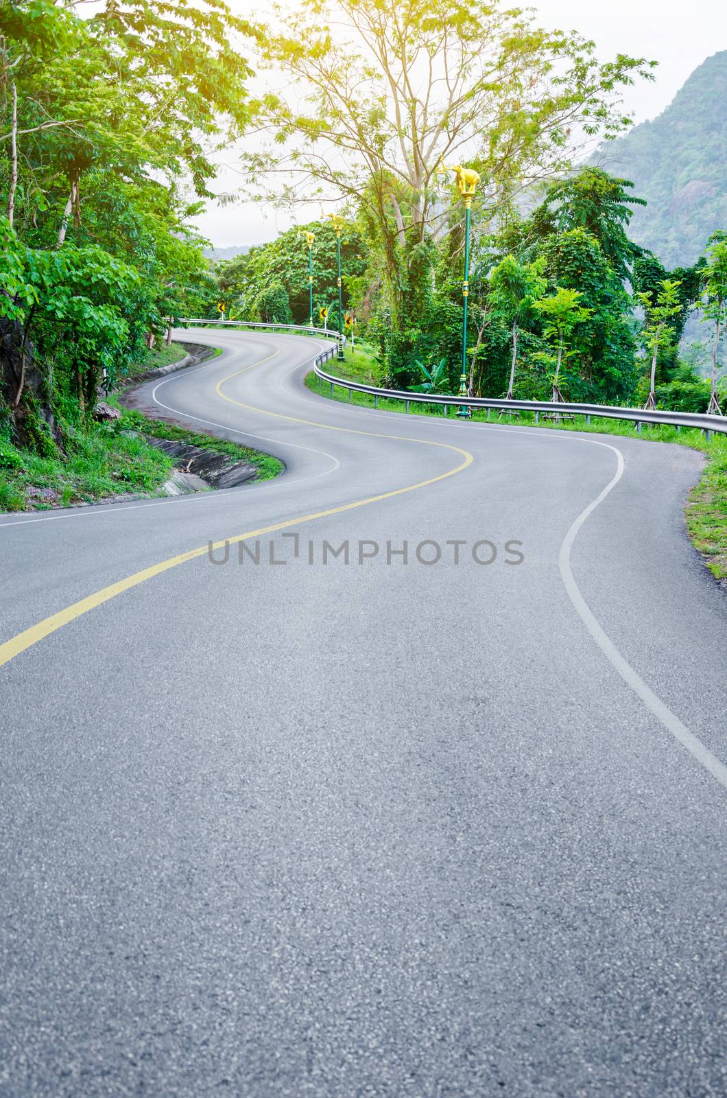 An empty S-Curved road on skyline drive in the green view.