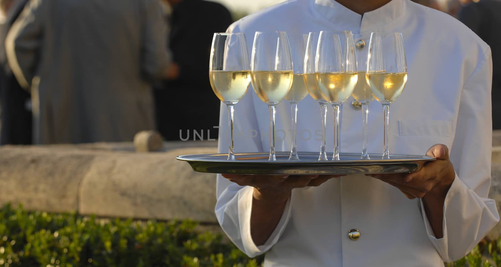 Professional male waiter in uniform serving champagne, Dri