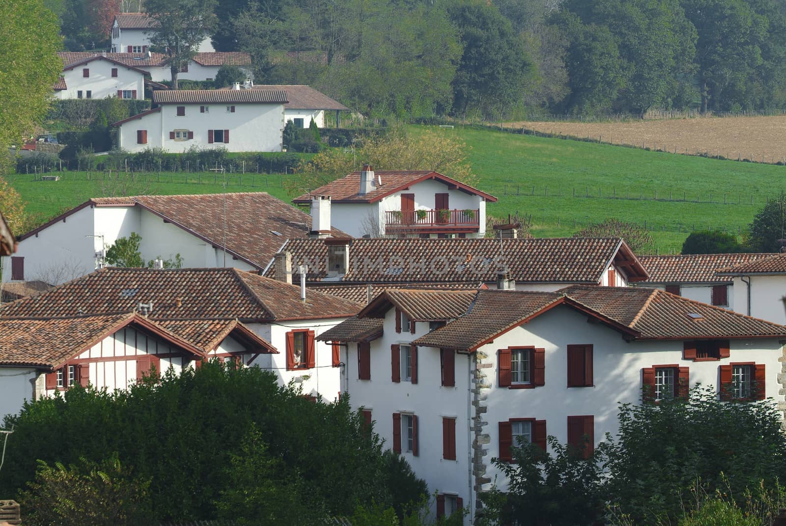 Traditional Labourdine houses in the village of Espelette, Basque country, France