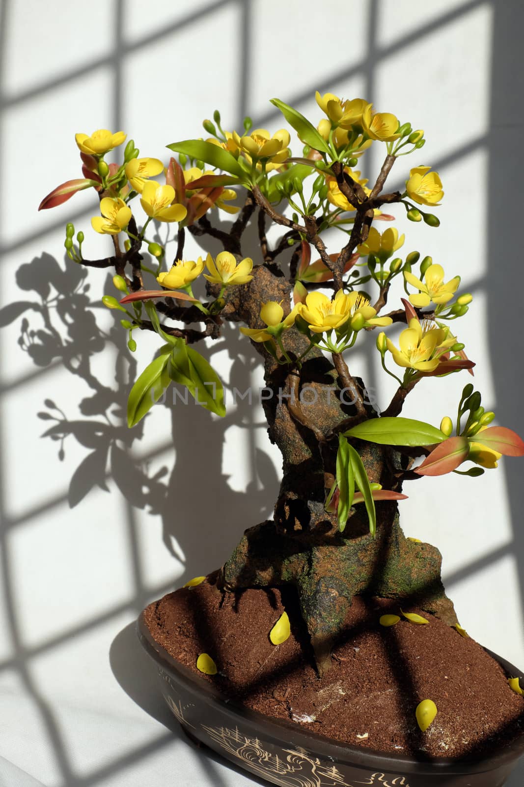 Vietnam spring flower for home decoration in springtime, handmade apricot blossom make from clay, amazing artwork with shade on white background, this kind of bonsai is tradition ornament on tet