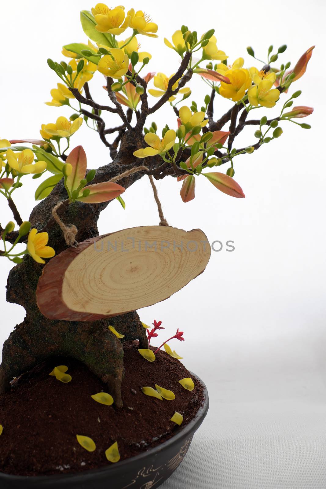 Happy new year with spring flower and wood banner on white background, amazing yellow apricot blossom make from clay, beauty artwork for home decoration in springtime