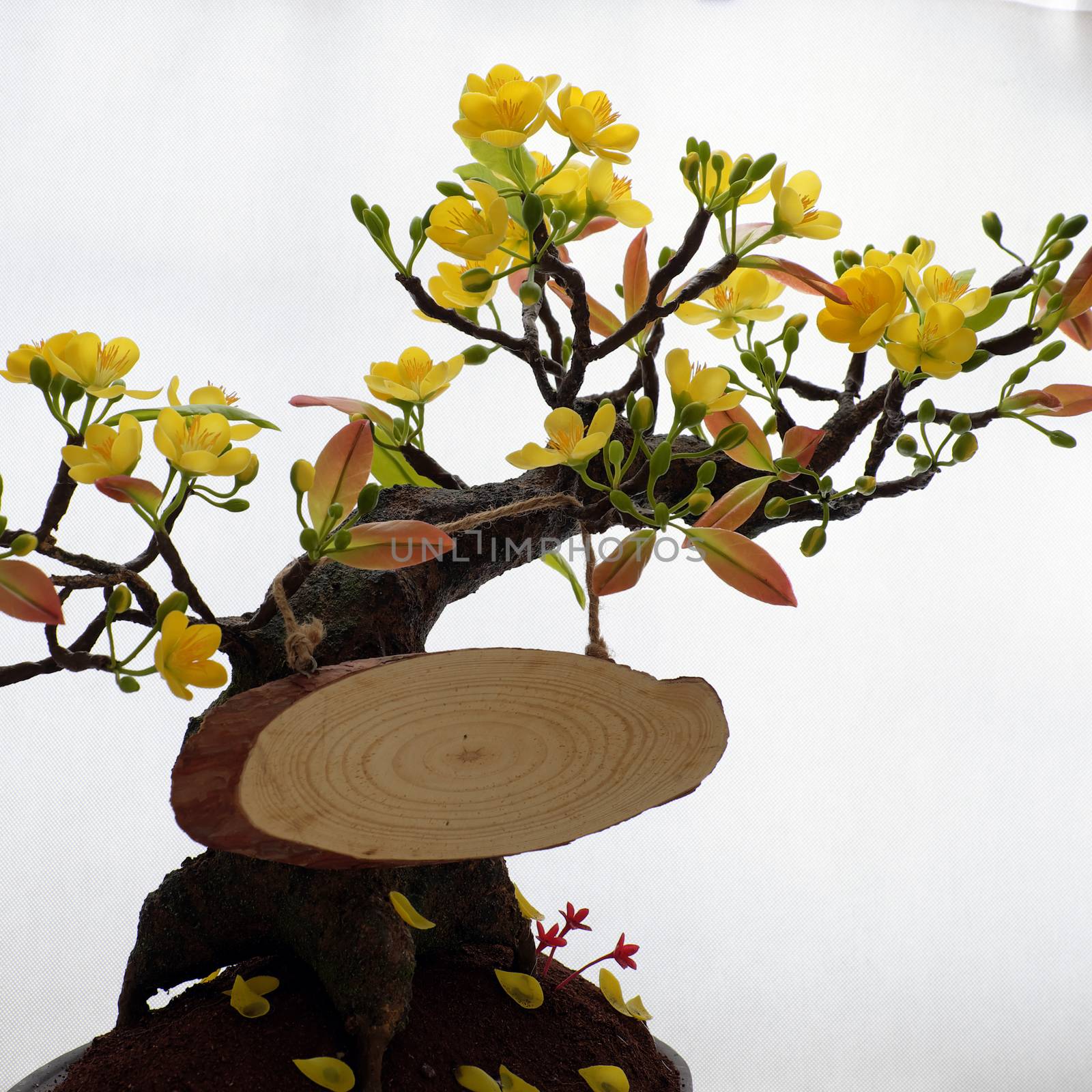 clay apricot blossom for home decoration by xuanhuongho